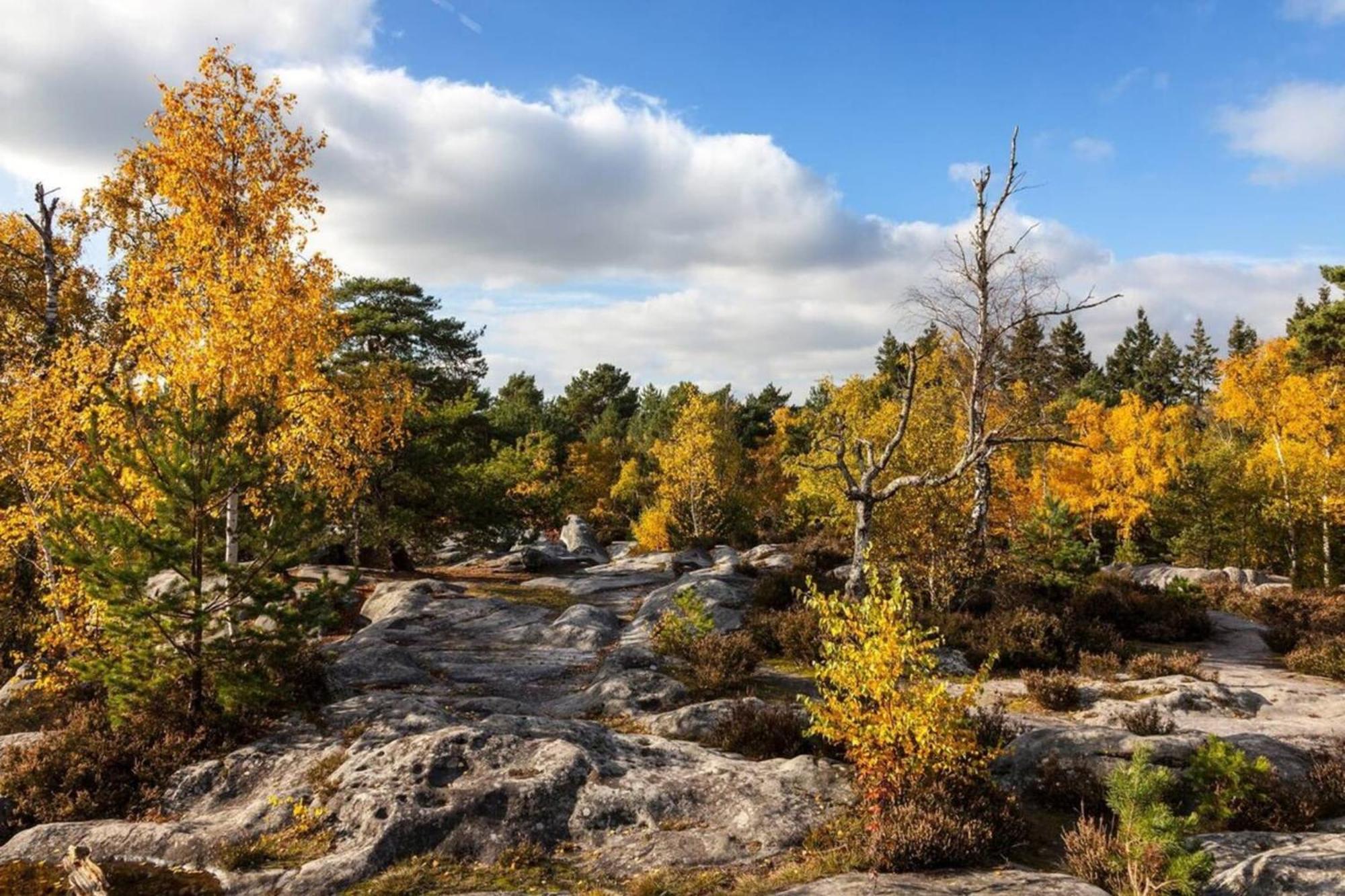 Fontainebleau Rue Grande - Chez Alexis Lejlighed Eksteriør billede